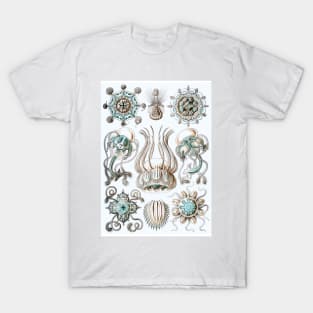 Ocean Animals T-Shirt